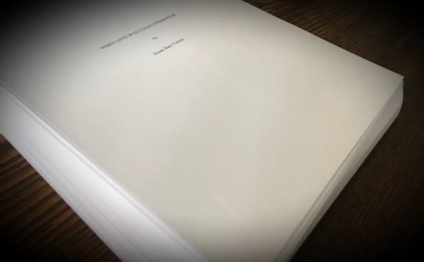 I finished my novel. Now what?